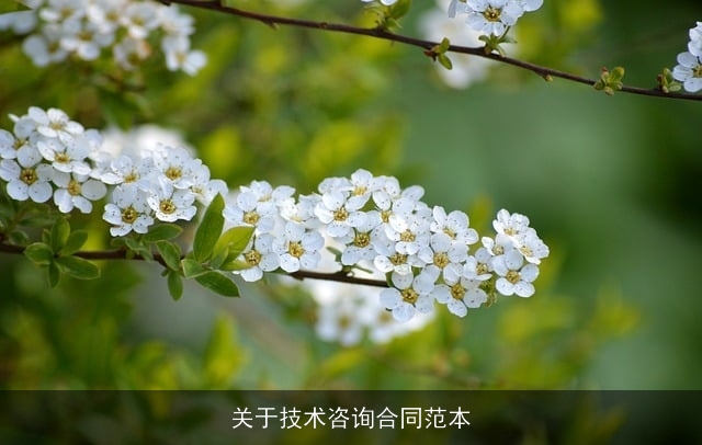 关于技术咨询合同范本