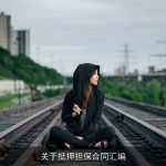 关于抵押担保合同汇编