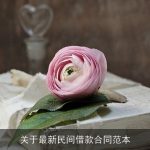 关于最新民间借款合同范本