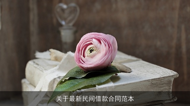 关于最新民间借款合同范本