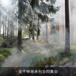 关于林地承包合同集合