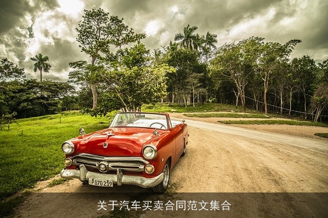关于汽车买卖合同范文集合