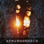 关于终止劳动合同范文汇总