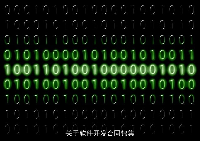 关于软件开发合同锦集