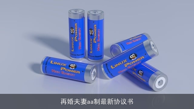 再婚夫妻aa制最新协议书