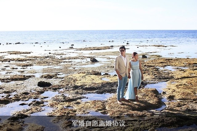 军婚自愿离婚协议