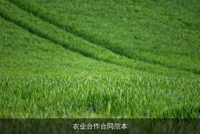 农业合作合同范本