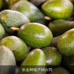 农业种植产销合同