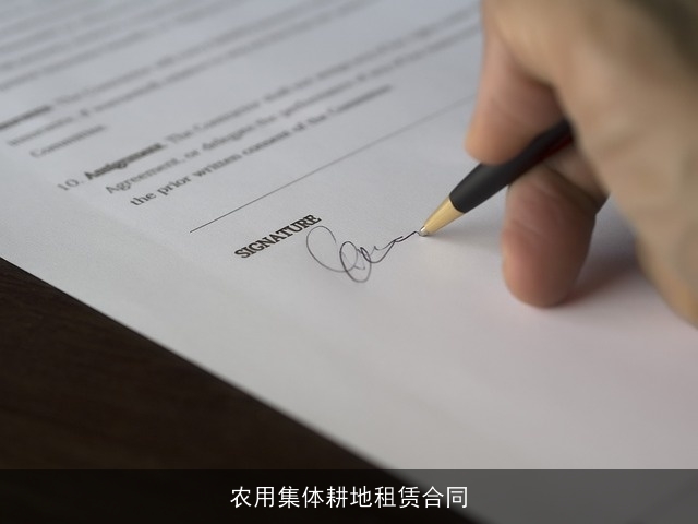 农用集体耕地租赁合同