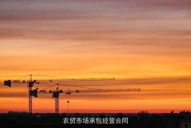 农贸市场承包经营合同