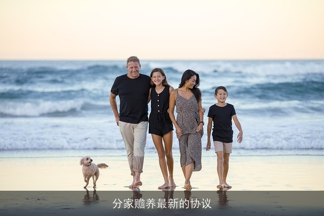 分家赡养最新的协议