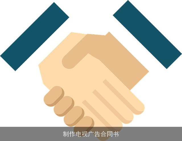 制作电视广告合同书