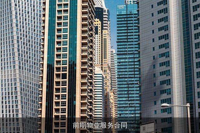 前期物业服务合同