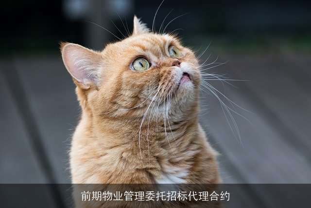 前期物业管理委托招标代理合约