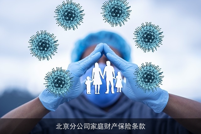 北京分公司家庭财产保险条款