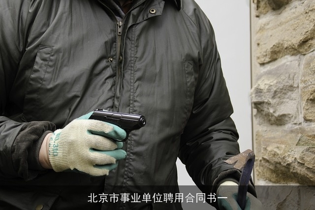 北京市事业单位聘用合同书一