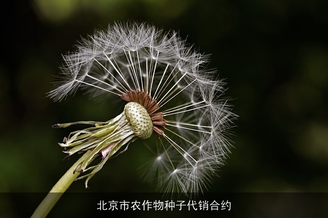 北京市农作物种子代销合约