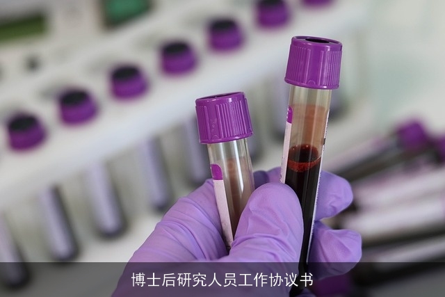 博士后研究人员工作协议书