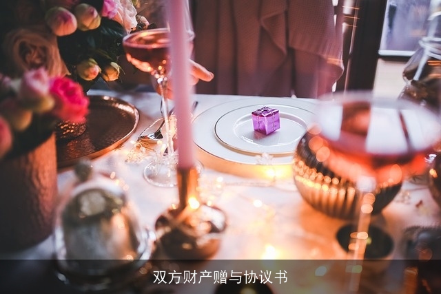 双方财产赠与协议书