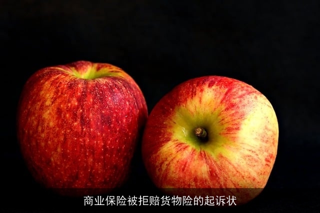 商业保险被拒赔货物险的起诉状