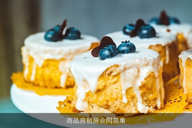 商品房租房合同简单