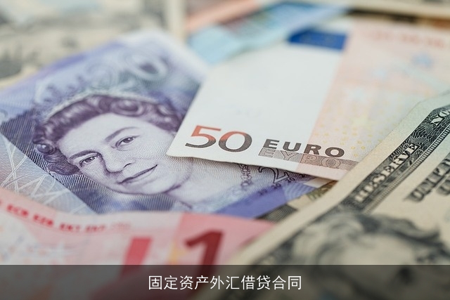 固定资产外汇借贷合同
