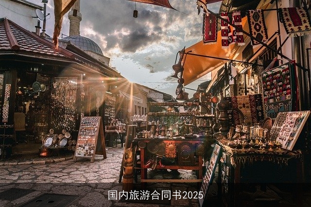 国内旅游合同书2025