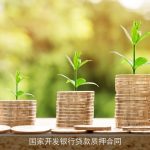 国家开发银行贷款质押合同