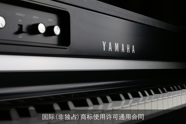 国际(非独占)商标使用许可通用合同