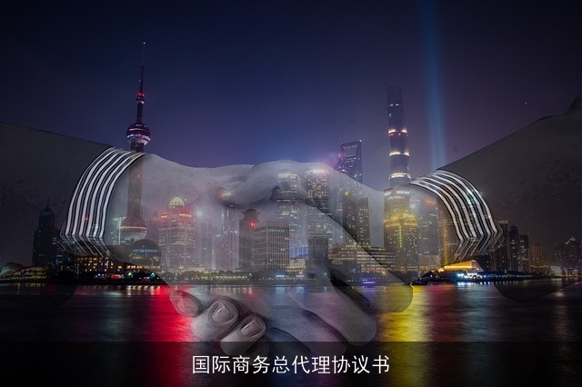 国际商务总代理协议书