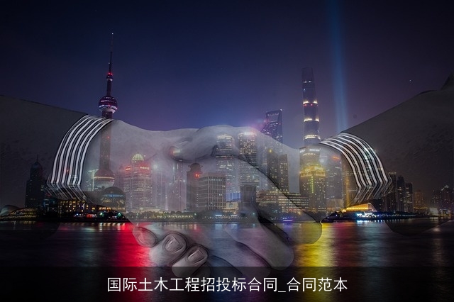 国际土木工程招投标合同_合同范本