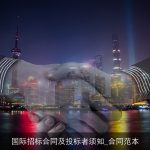 国际招标合同及投标者须知_合同范本