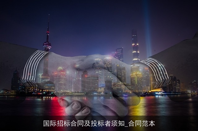 国际招标合同及投标者须知_合同范本
