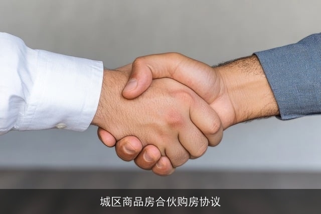 城区商品房合伙购房协议