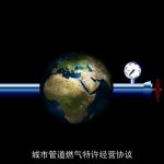 城市管道燃气特许经营协议