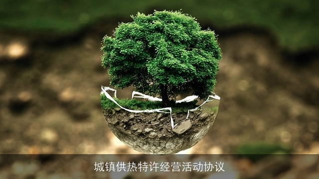 城镇供热特许经营活动协议