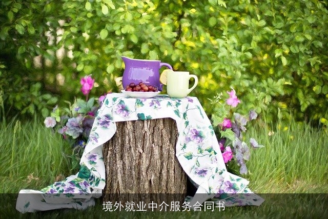 境外就业中介服务合同书