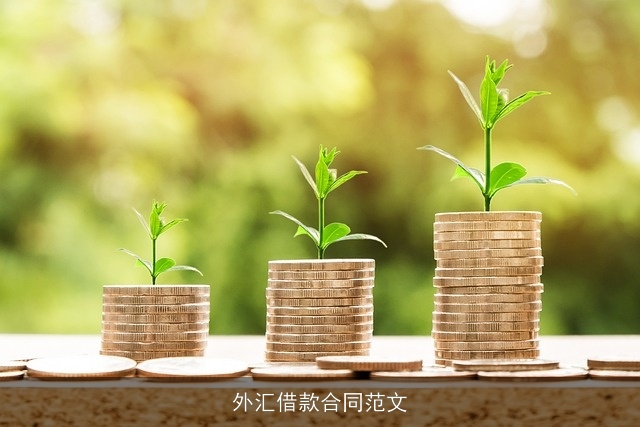 外汇借款合同范文