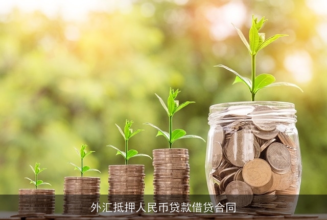 外汇抵押人民币贷款借贷合同