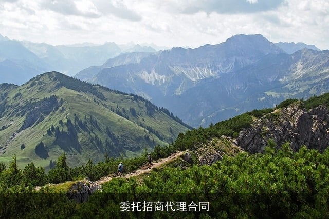 委托招商代理合同