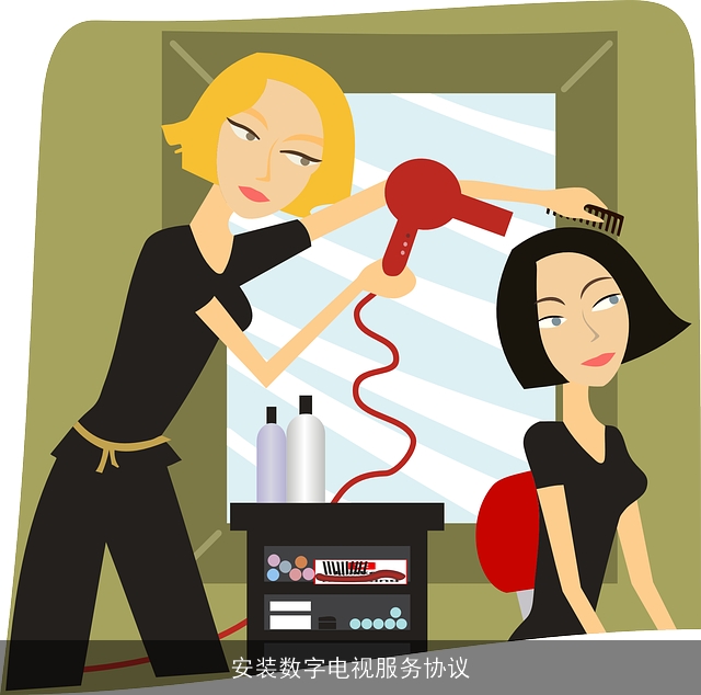 安装数字电视服务协议
