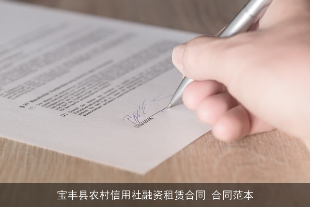 宝丰县农村信用社融资租赁合同_合同范本