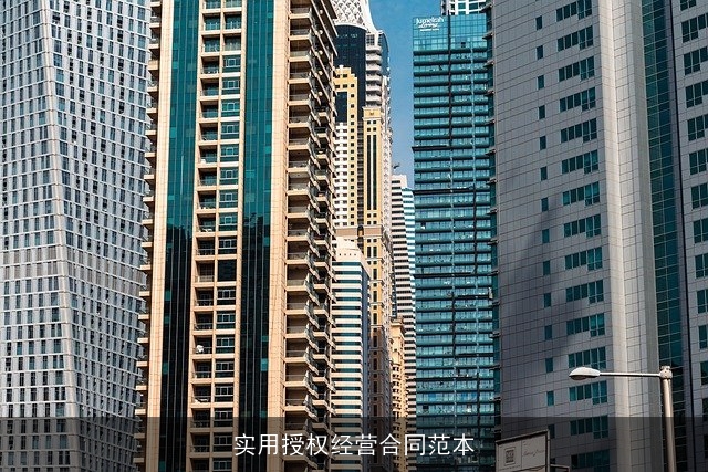 实用授权经营合同范本