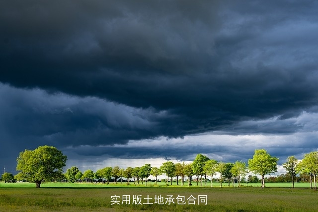 实用版土地承包合同