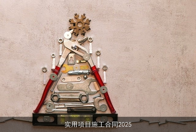 实用项目施工合同2025