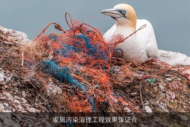 家居污染治理工程效果保证合