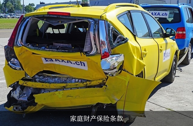 家庭财产保险条款