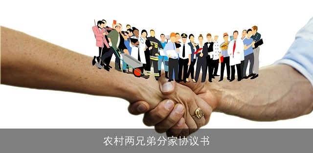 农村两兄弟分家协议书