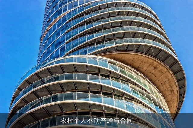 农村个人不动产赠与合同