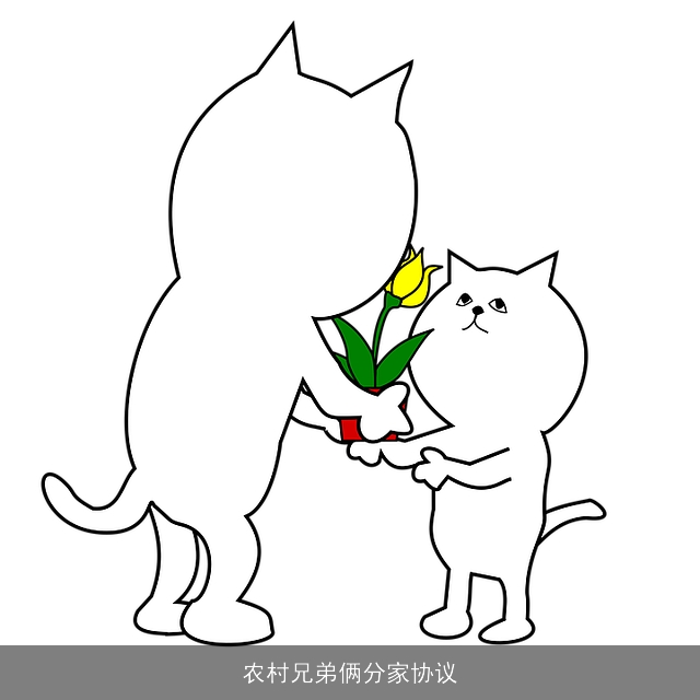 农村兄弟俩分家协议